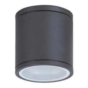 Stropna svetilka 1xGU10 za LED IP54 AL134D - slika 1